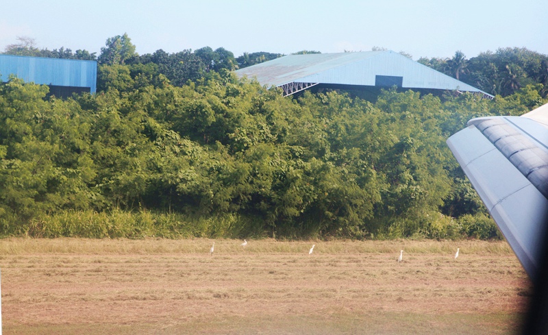 _mg_5869.jpg