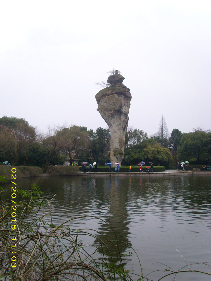 dsci7869.jpg