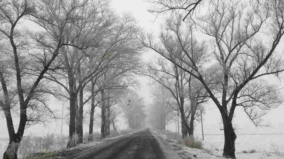 20150114_120732_.jpg