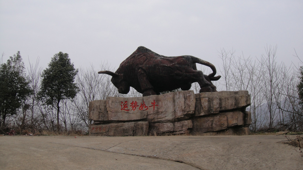 dsc03800.jpg