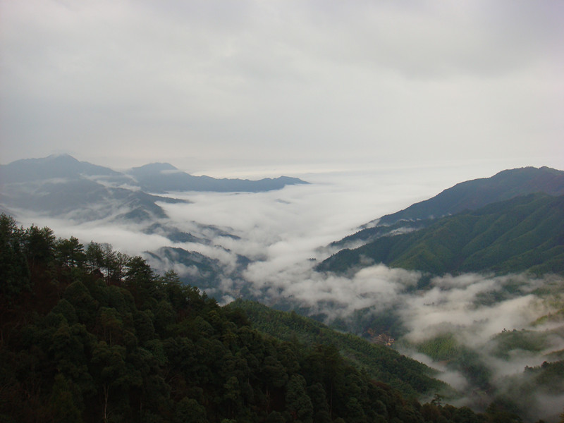 dsc01757_.jpg