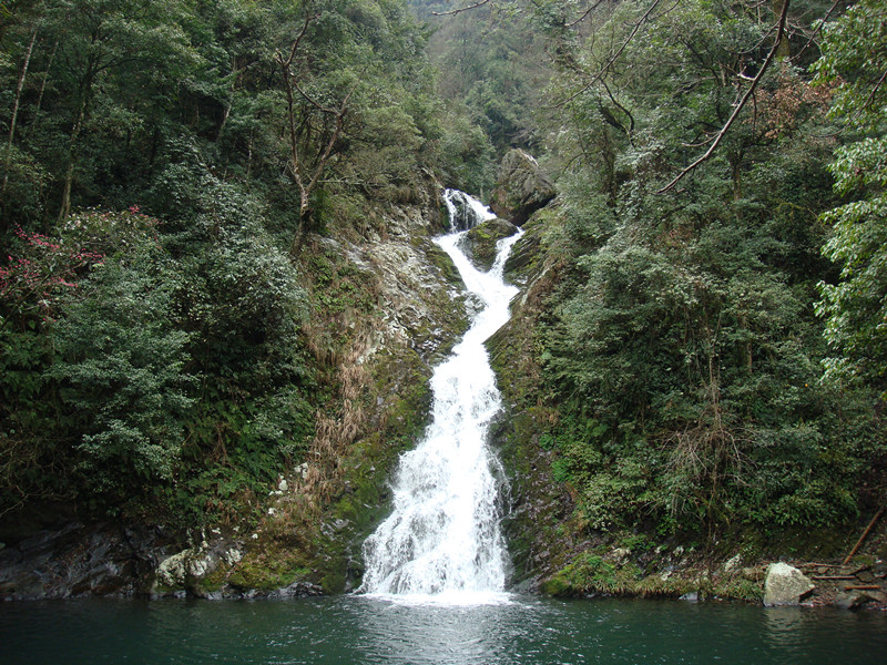 dsc01812_.jpg