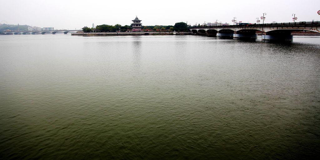 img_8261.jpg
