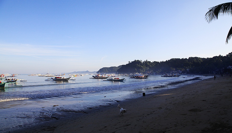 _mg_6488.jpg