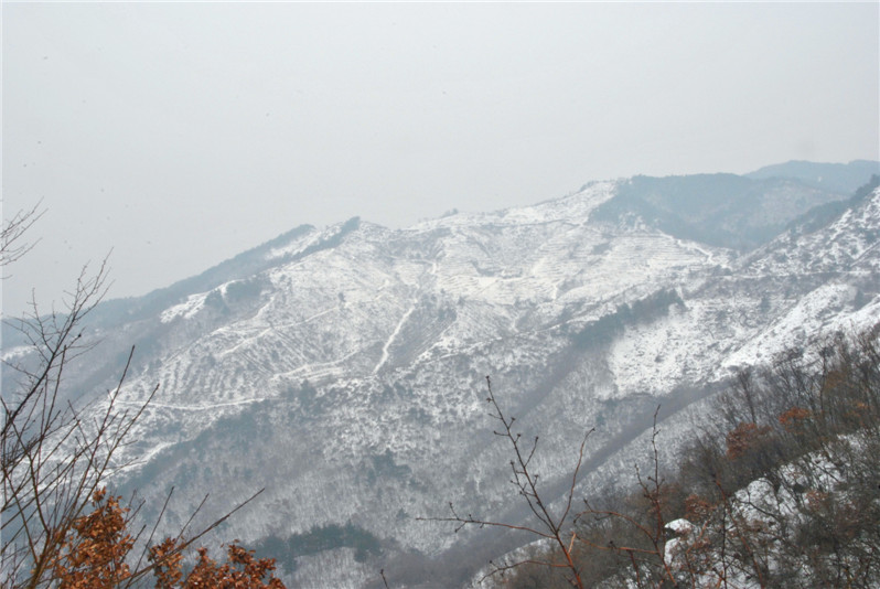 dsc_0188_.jpg