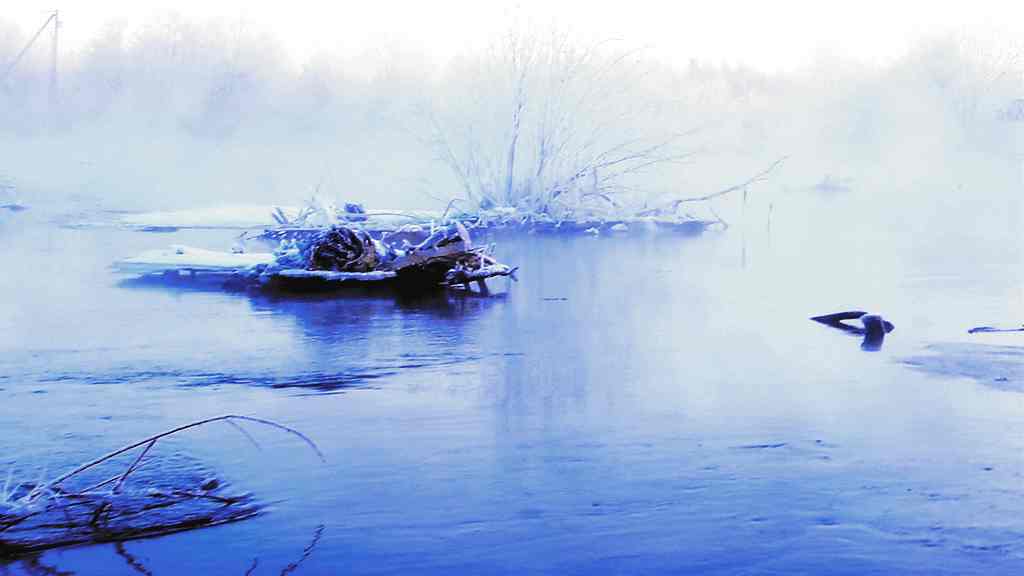 bw3p5709_.jpg