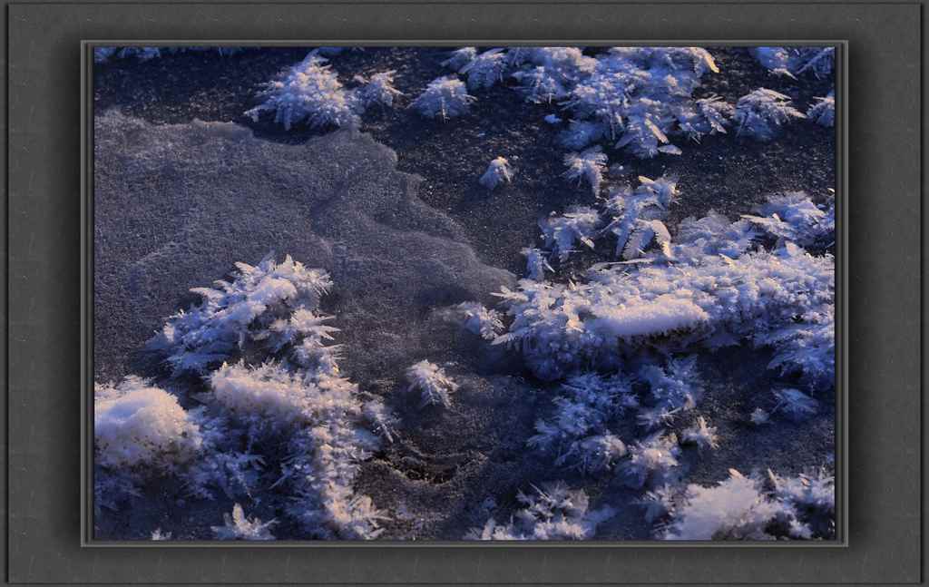 bw3p5743_.jpg