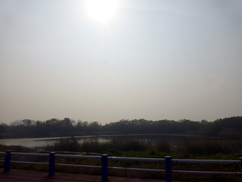 p1280853.jpg