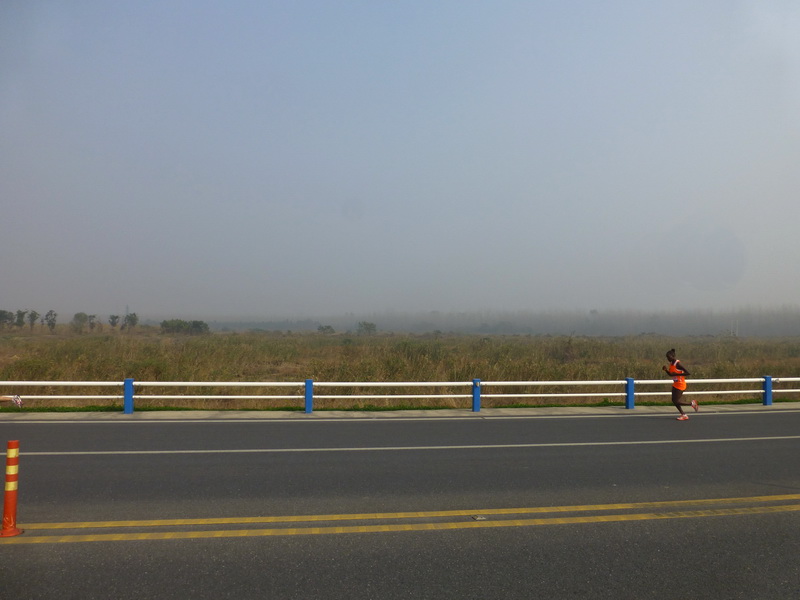p1280866.jpg