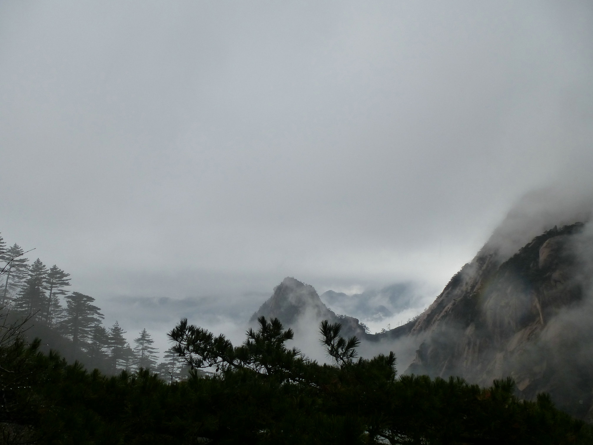p1000306_1.jpg