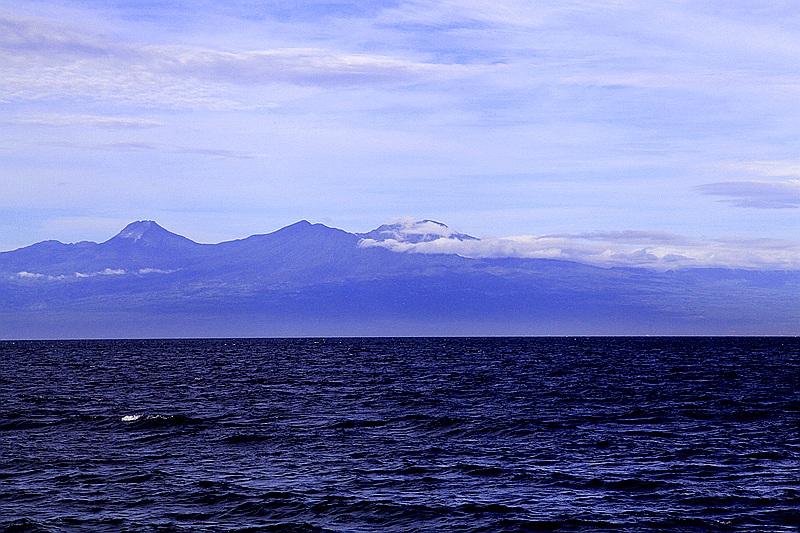 _mg_3641.jpg