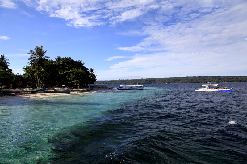 _mg_3647.jpg