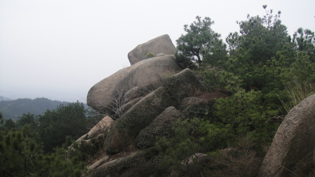 dsc05008.jpg
