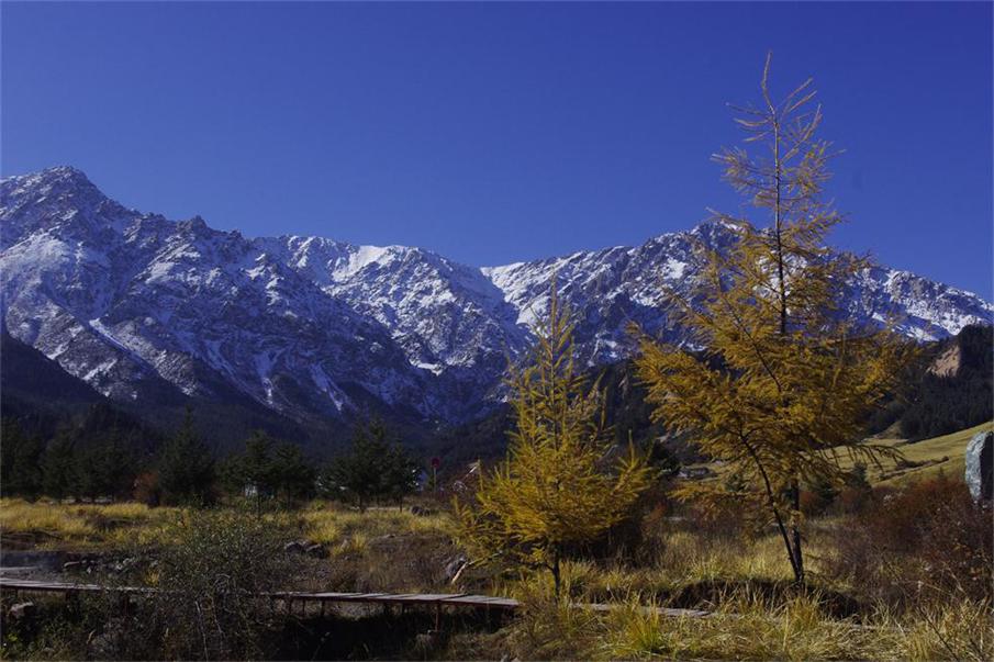 _igp4876.jpg