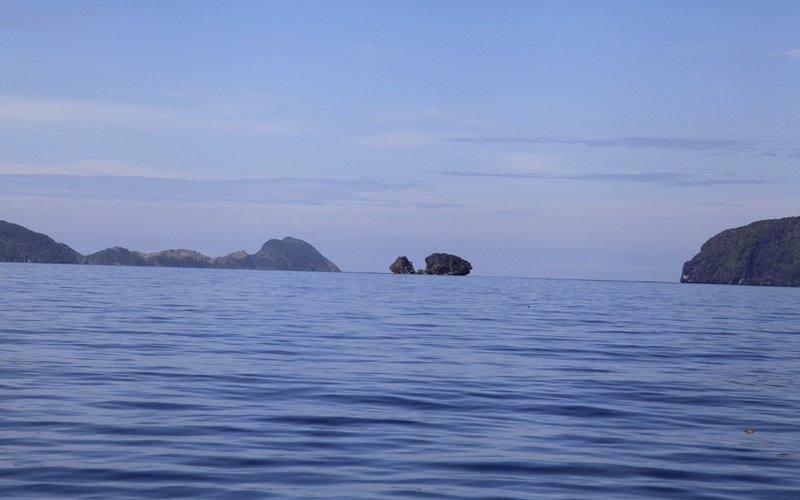 _mg_6596.jpg
