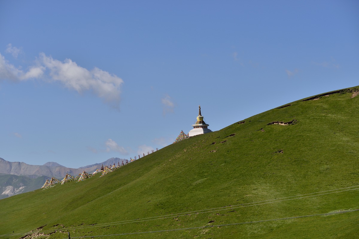 dsc_7008.jpg