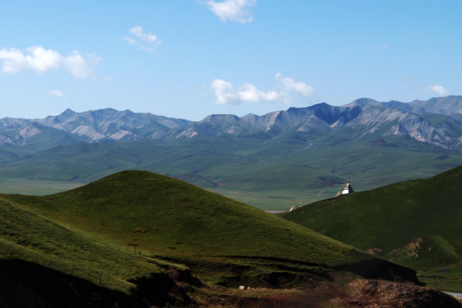 k1309686.jpg