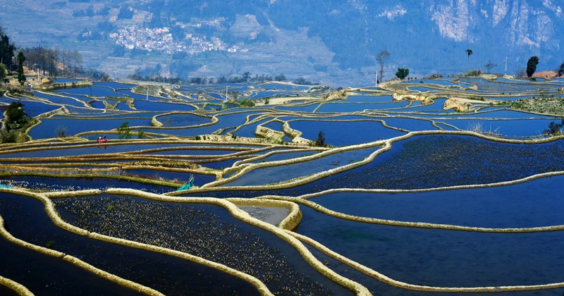 dsc_7392.jpg