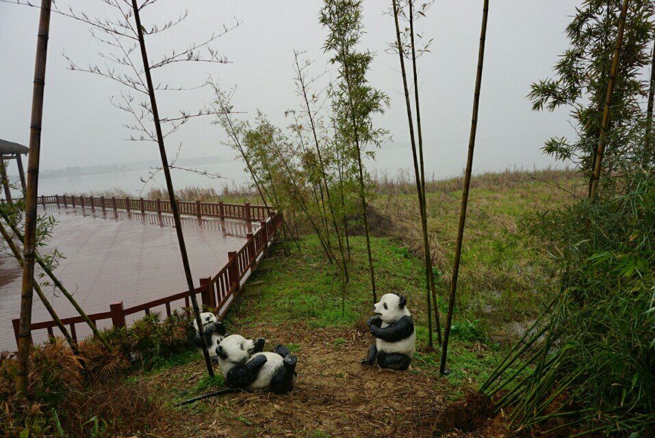 qqͼƬ20150316225608.jpg