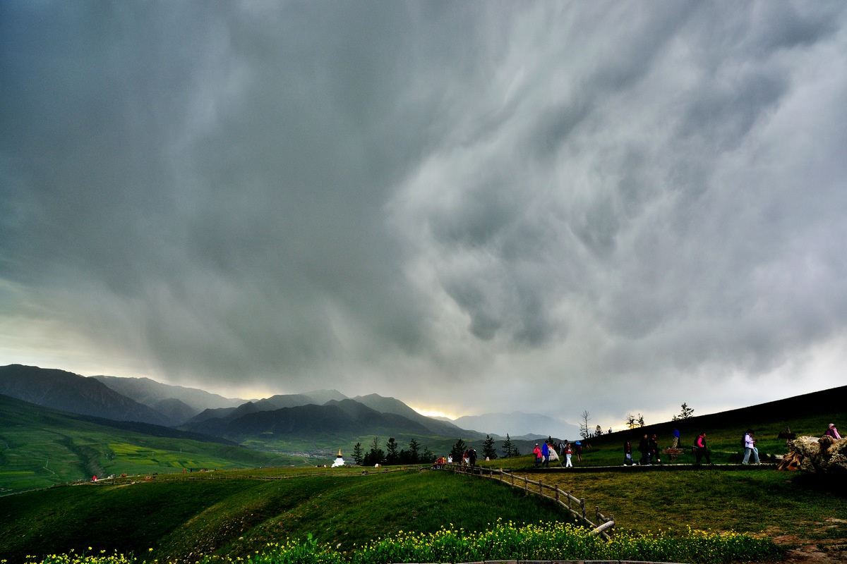 dsc_7545.jpg