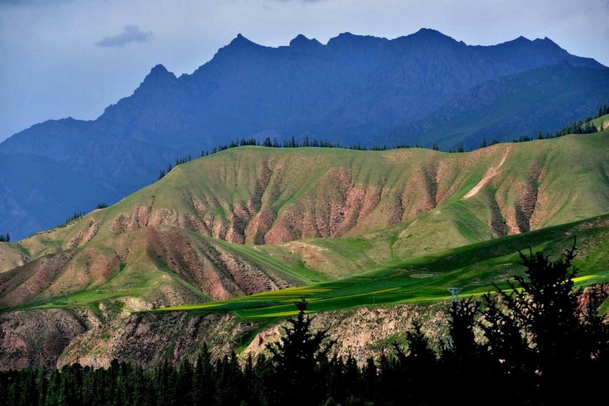 卓尔山 (2).jpg