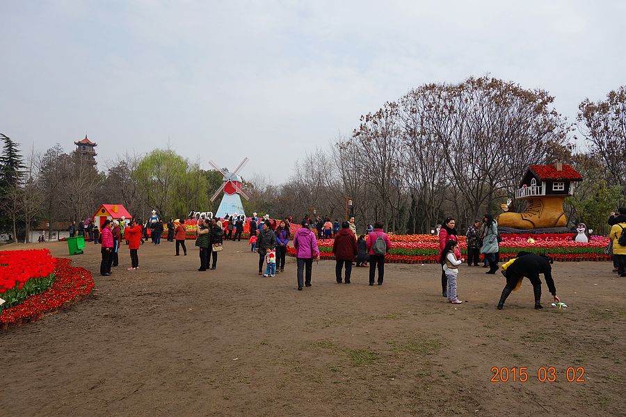 neo_img_dsc00831.jpg