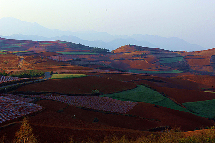 云南东川红土地 114_副本.jpg