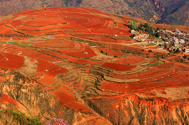 云南东川红土地 091_副本.jpg