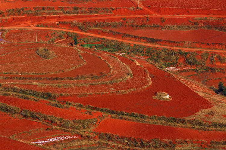 云南东川红土地 103_副本.jpg