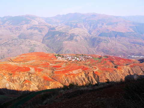 p1130572_副本.jpg