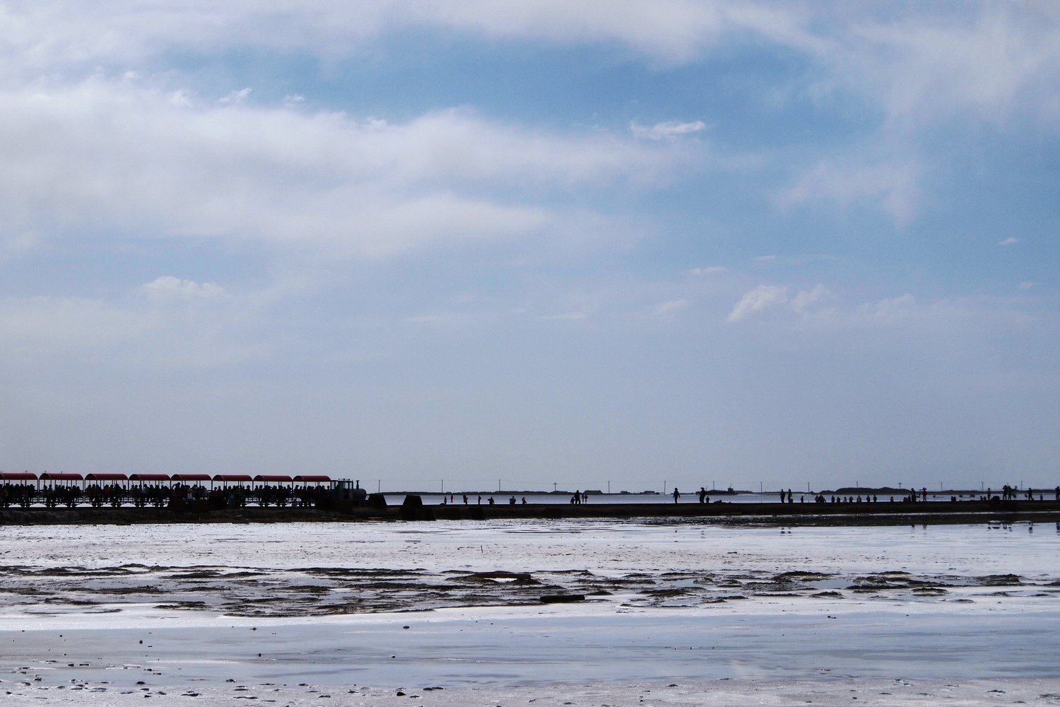 k1010061.jpg