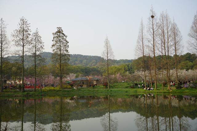 dsc09787.jpg
