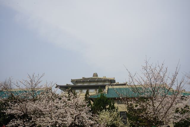 dsc09886.jpg