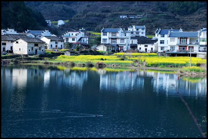conew_祁门行 963_conew1.jpg