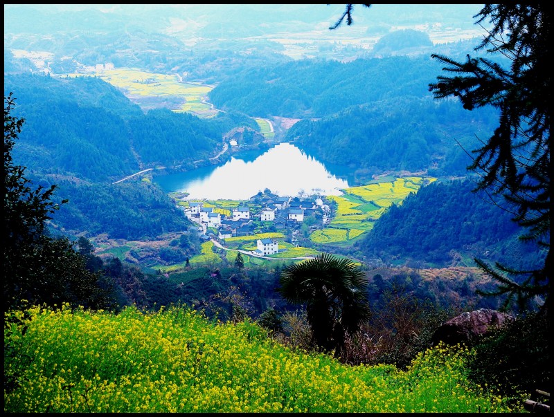 conew_祁门行 544_conew1.jpg