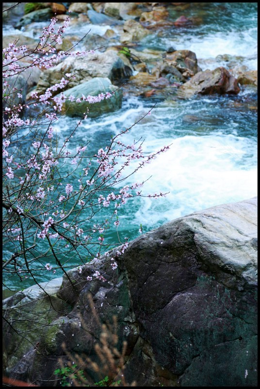 conew_祁门行 052_conew1.jpg