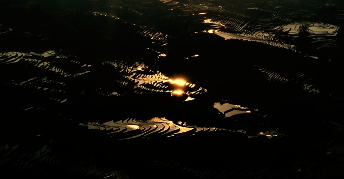 dsc_0082a.jpg