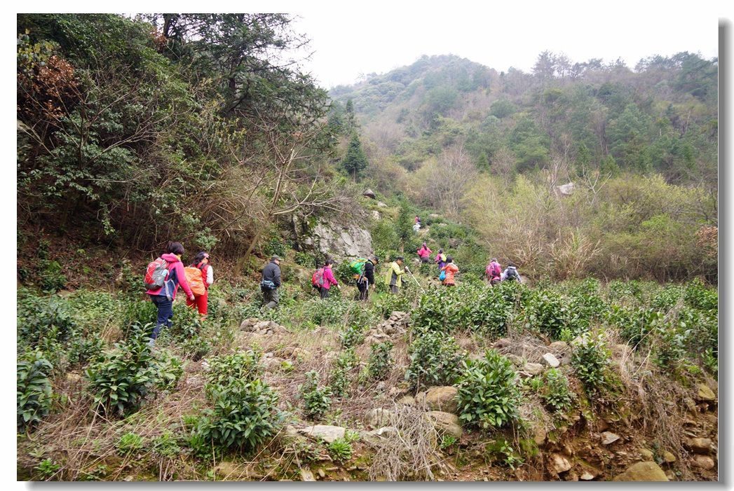 红旗村到冯家顶20.jpg