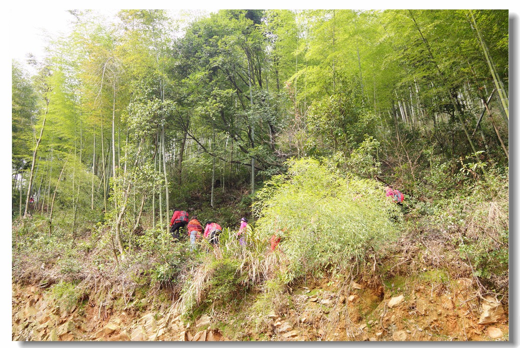 红旗村到冯家顶42.jpg