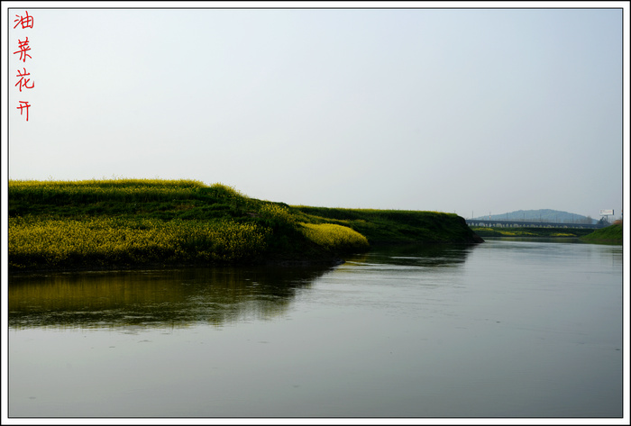 dsc_6531.jpg