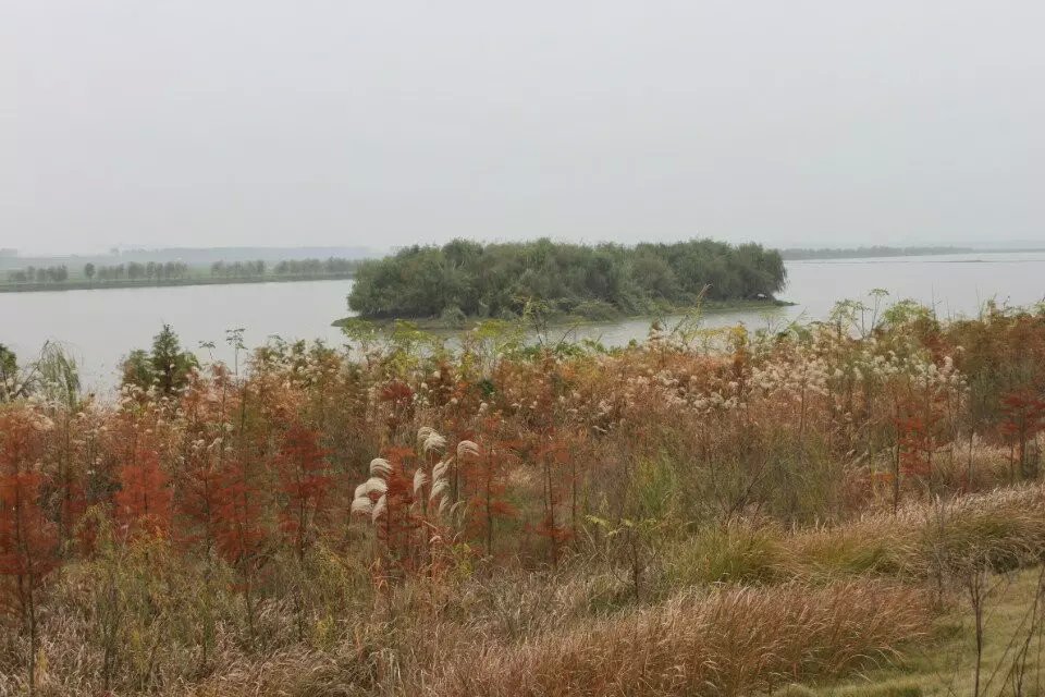 psbca61x0d7.jpg