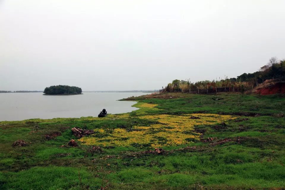 psbcavxghp8.jpg