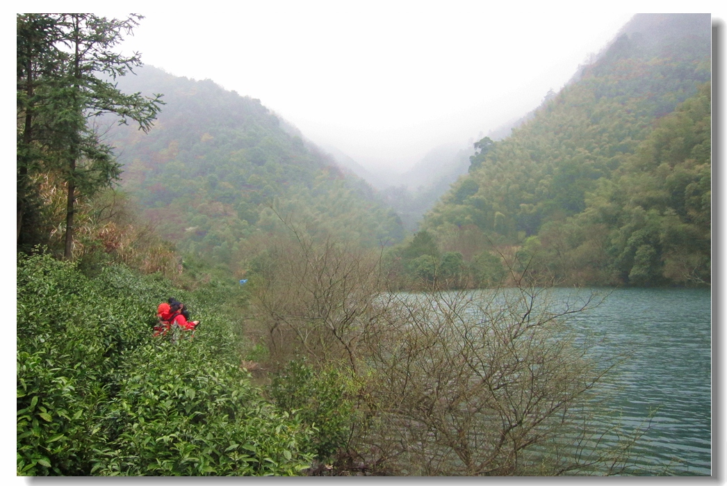 雨中玉谷古道04.jpg