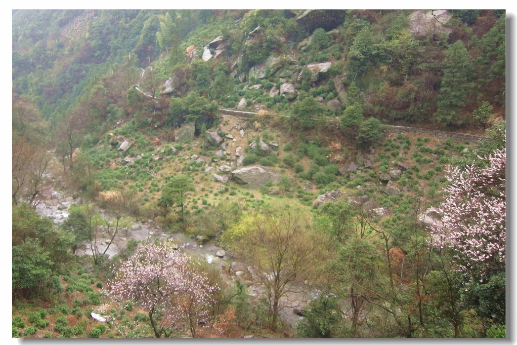 雨中玉谷古道18.jpg