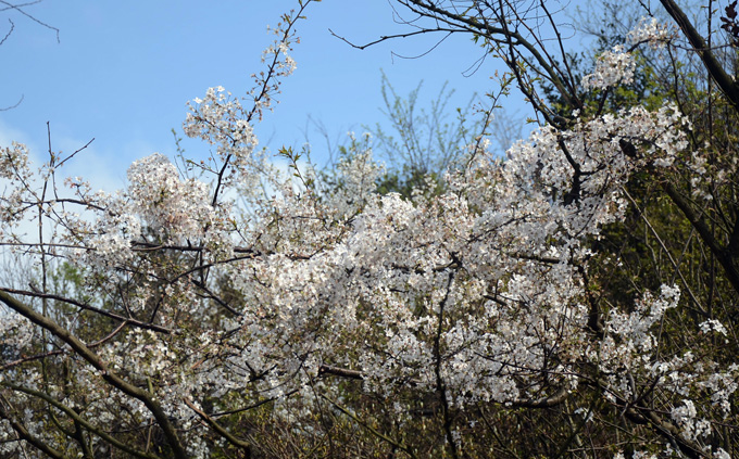 dsc_3200.jpg