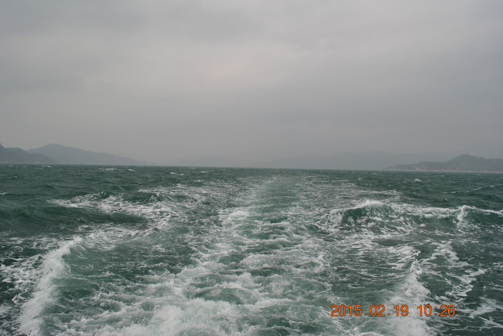 conew_dsc_0382.jpg