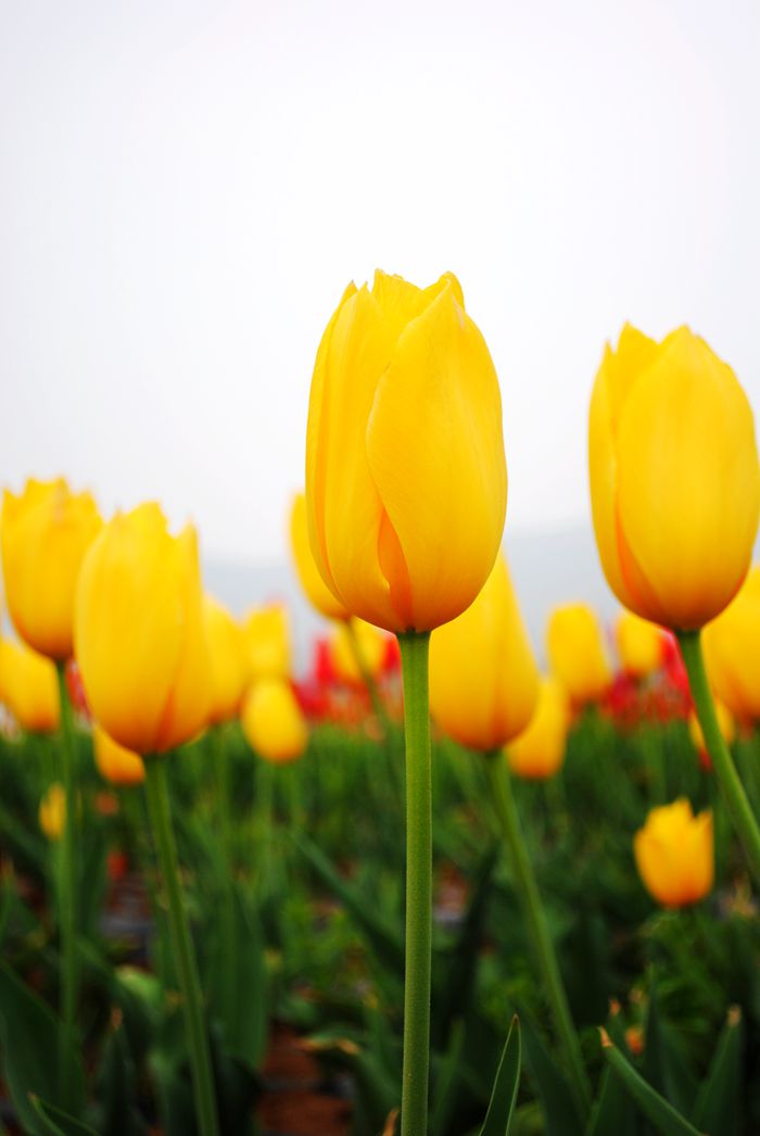 20150406 080.jpg