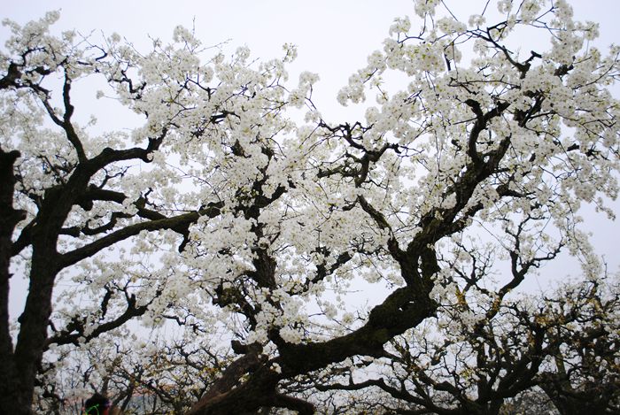 20150406 103.jpg