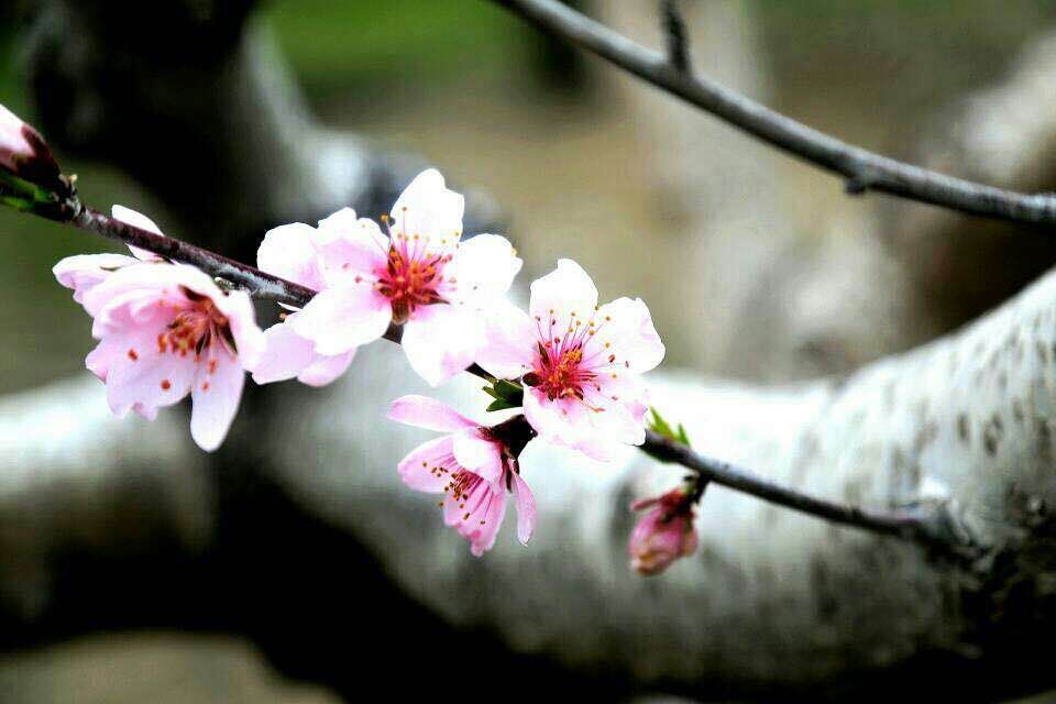 qq图片20150407081938.jpg