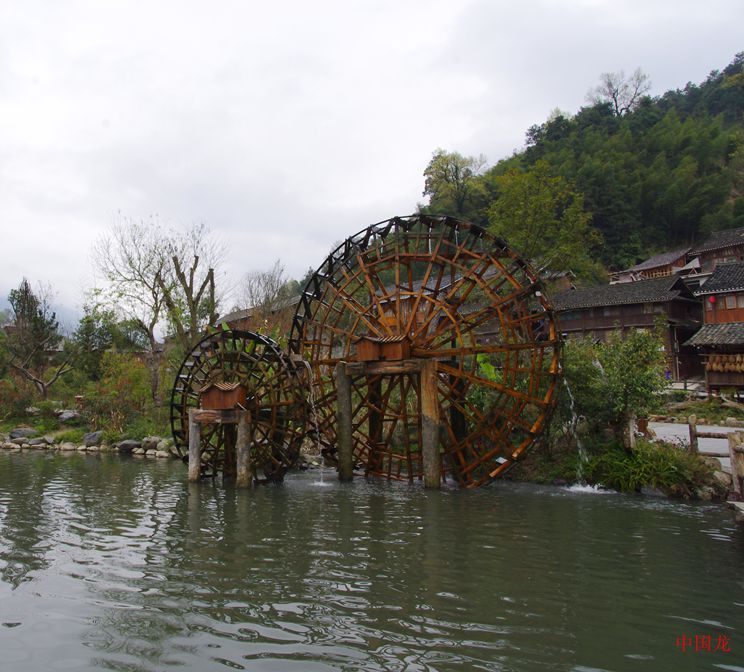 imgp0603_.jpg